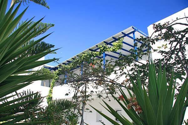 Loukia Apartments & Studios Nausa Zewnętrze zdjęcie